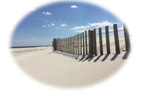 New Construction in Beach Haven West | Building a New Home in Beach Haven West | Beach Haven West Real Estate Market