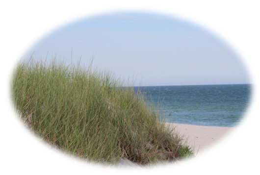 Beach Haven West Flood Insurance | Hurricane Sandy | Beach Haven West Real Estate