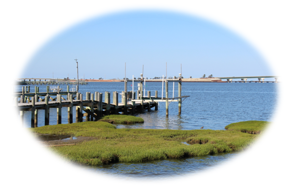 New Construction in Beach Haven West | Building a New Home in Beach Haven West | Beach Haven West Real Estate Market