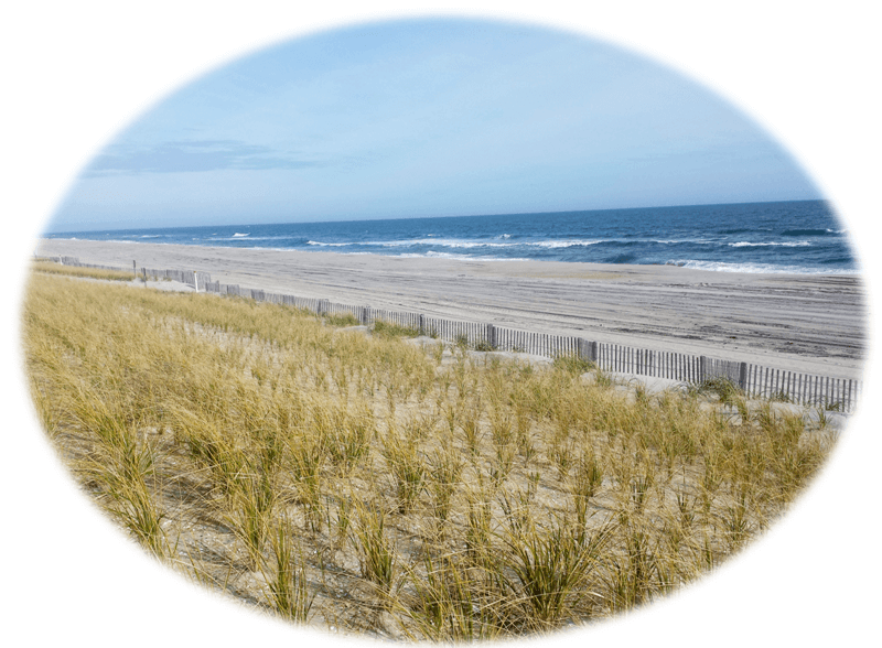 Browsing Beach Haven West Real Estate | Beach Haven West NJ | Stafford Township