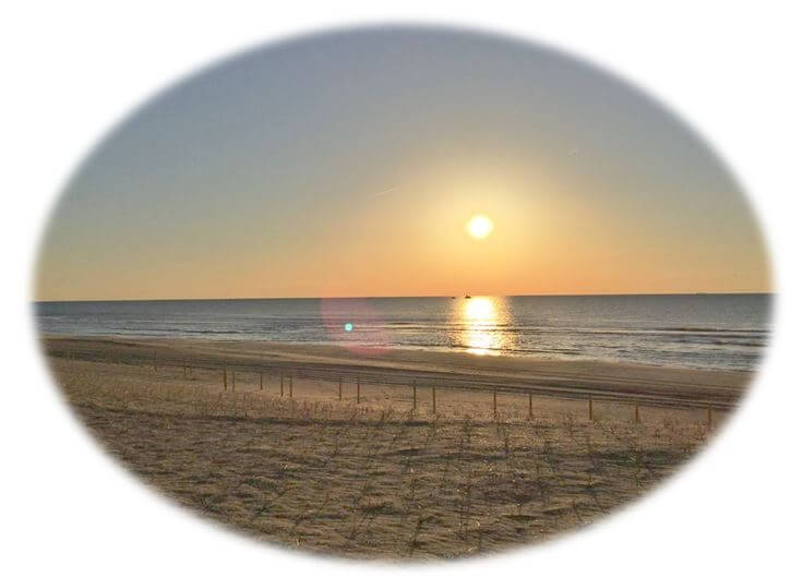 Browsing Beach Haven West Real Estate | Beach Haven West NJ | Stafford Township