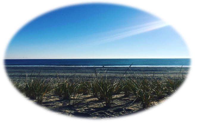 Beach Haven West Locations | Lagoonfront Homes in Beach Haven West | Beach Haven West NJ Real Estate