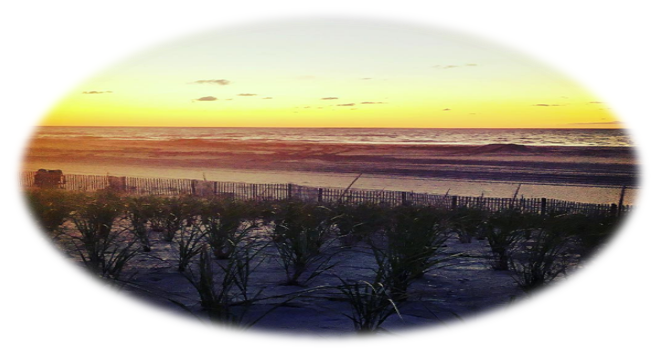 Beach Haven West Ownership Costs | Beach Haven West NJ Real Estate | Beach Haven West Buyers