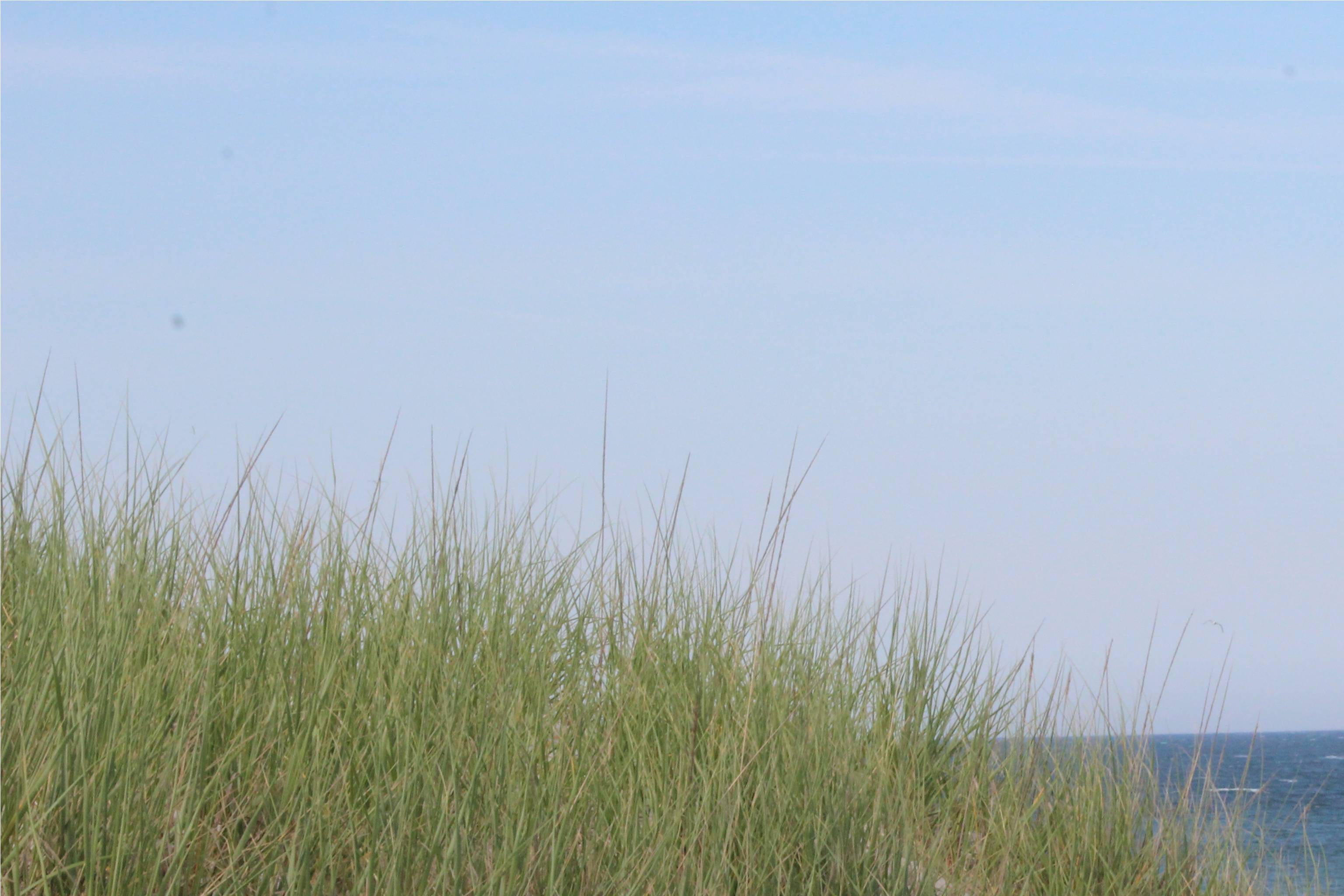 Beach Haven West NJ Real Estate | Beach Haven West Homes | Stafford Township NJ